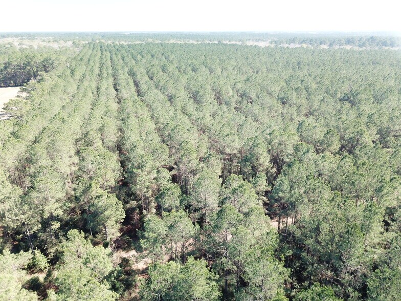 Corrigan Road, Vidor, TX à vendre - Photo de l’immeuble – Image 3 sur 32