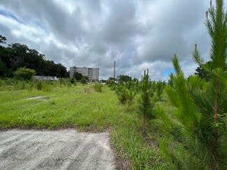 Plus de détails pour 252 NW Cali Dr, Lake City, FL - Terrain à vendre