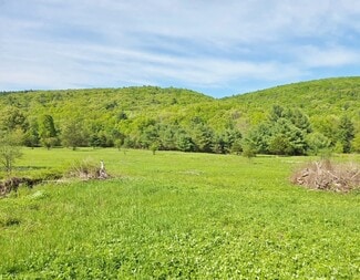Plus de détails pour 308 NY-28, Kingston, NY - Terrain à vendre