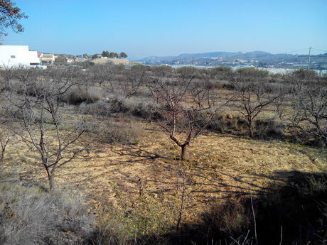 Terrain dans Cehegín, Murcia à vendre - Plan de site – Image 2 sur 8