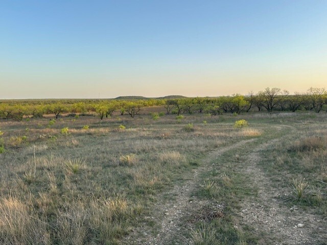 Highway 6, Albany, TX à vendre - Photo de l’immeuble – Image 1 sur 13