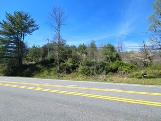 Plus de détails pour 99999 US 19E hwy, Spruce Pine, NC - Terrain à vendre