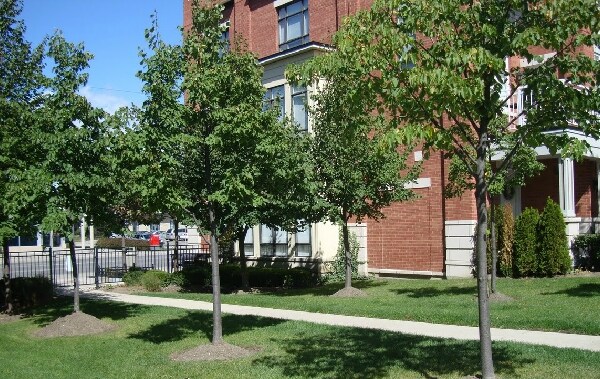 165 Lakeshore Rd E, Mississauga, ON à louer - Photo de l’immeuble – Image 2 sur 20