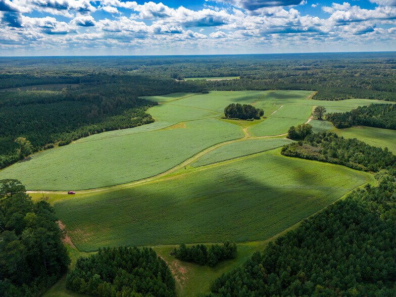 880 Tant Rd, Zebulon, NC à vendre - Photo principale – Image 1 sur 4