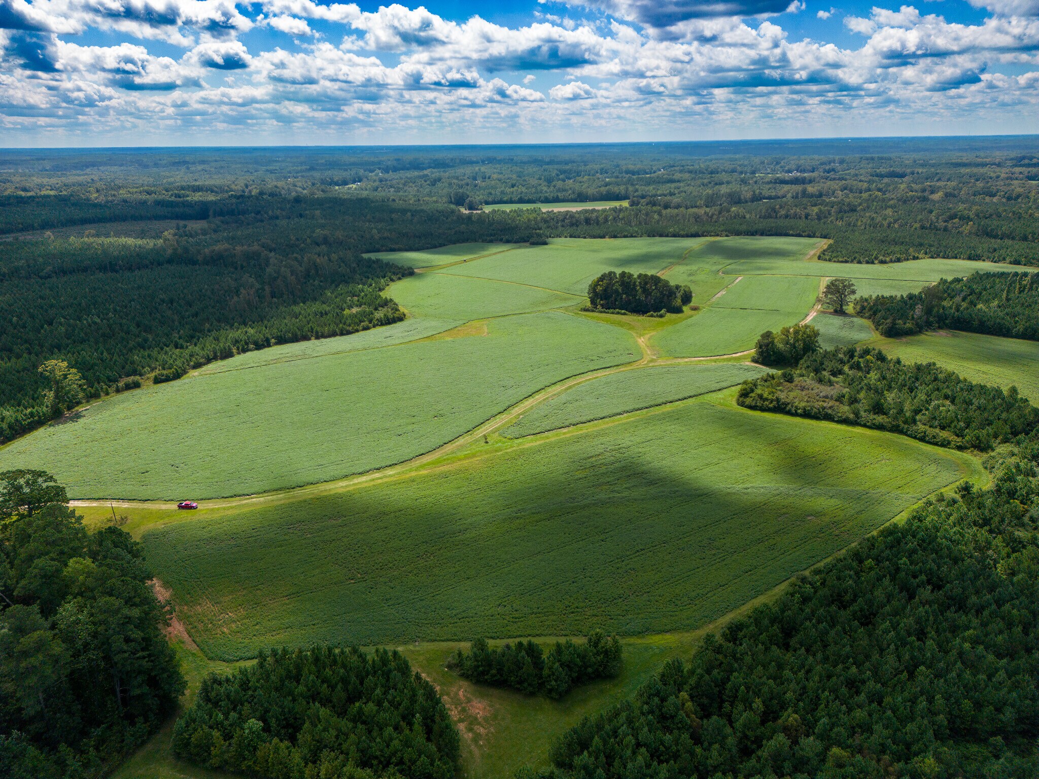 880 Tant Rd, Zebulon, NC à vendre Photo principale– Image 1 sur 5