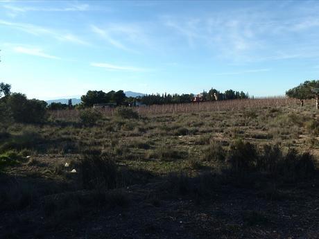 Terrain dans Molina de Segura, Murcia à vendre - Plan de site – Image 2 sur 4