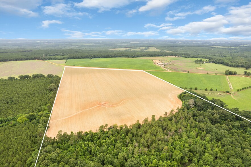 0 Old Stage rd, Repton, AL à vendre - Photo de l’immeuble – Image 2 sur 27