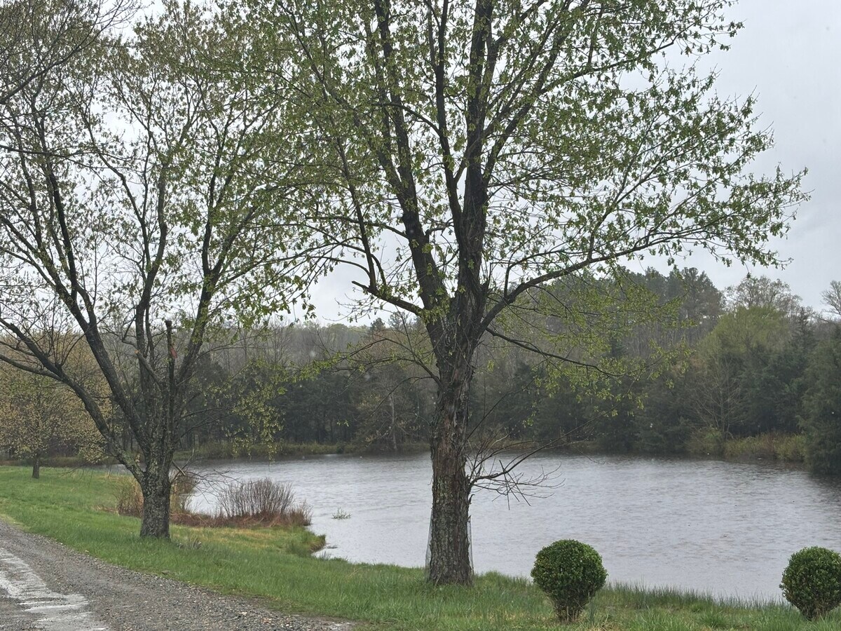 View Photo