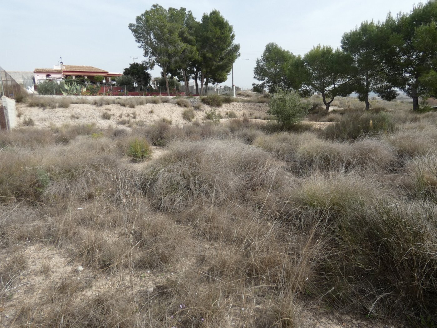 Terrain dans Molina de Segura, Murcia à vendre Aérien– Image 1 sur 4