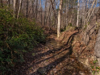 Plus de détails pour 00 Pittman Rd, Landrum, SC - Terrain à vendre