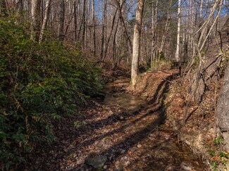 Plus de détails pour 00 Pittman Rd, Landrum, SC - Terrain à vendre