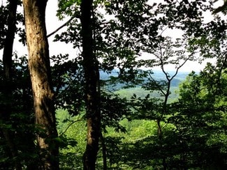 Plus de détails pour Grizzle Rd, Dawsonville, GA - Terrain à vendre