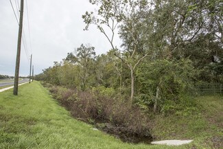 Plus de détails pour SW Hwy 17, Arcadia, FL - Terrain à vendre