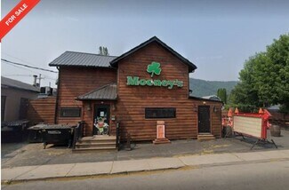 Plus de détails pour 504 S Elmira St, Athens, PA - Local commercial à vendre