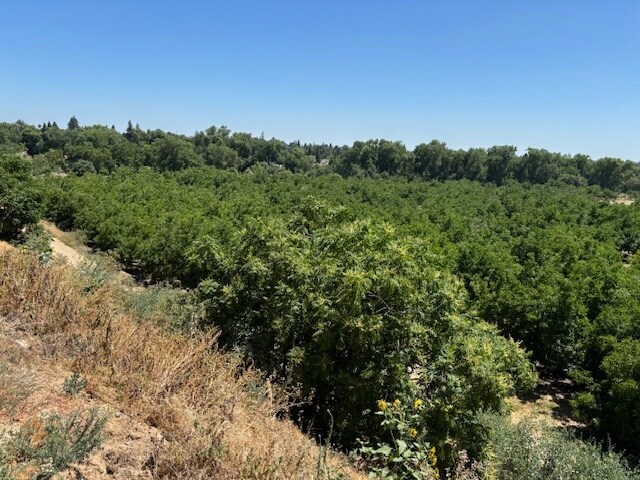 0 Jackson Road Rd, Oakdale, CA à vendre Photo principale– Image 1 sur 7