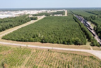 Plus de détails pour Defense Tract - Central, New Boston, TX - Terrain à vendre