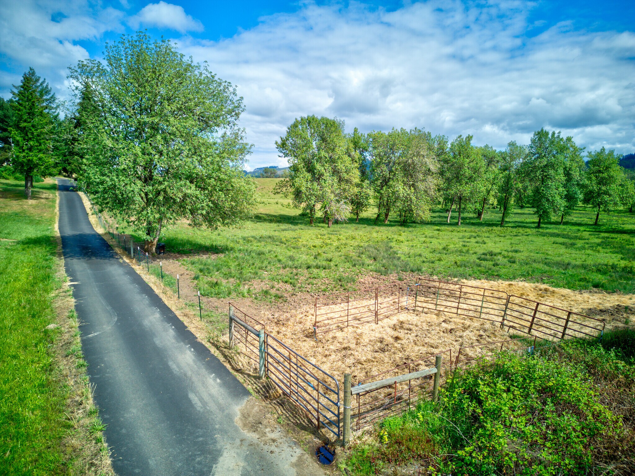 927 State Highway 138 w, Sutherlin, OR à vendre Photo principale– Image 1 sur 10