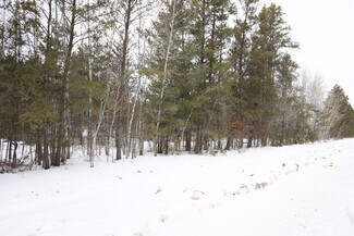 Plus de détails pour 929 Dorado Dr N, Pillager, MN - Terrain à vendre