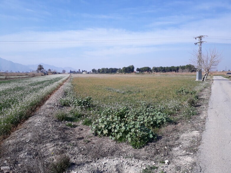 Terrain dans Granja de Rocamora, Alicante à vendre - Plan de site – Image 2 sur 5