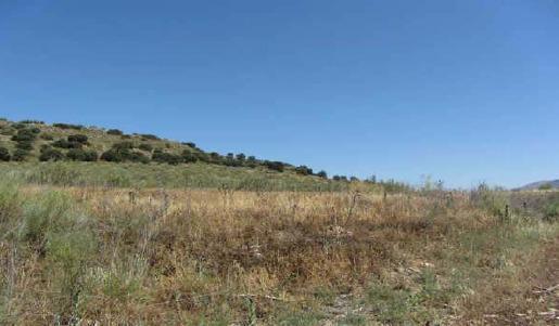 Terrain dans Atarfe, Granada à vendre - Plan de site – Image 3 sur 9