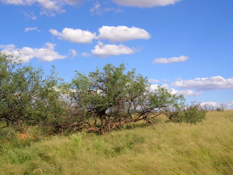 E Cochise Trl, Saint David, AZ à vendre - Photo de l’immeuble – Image 3 sur 4