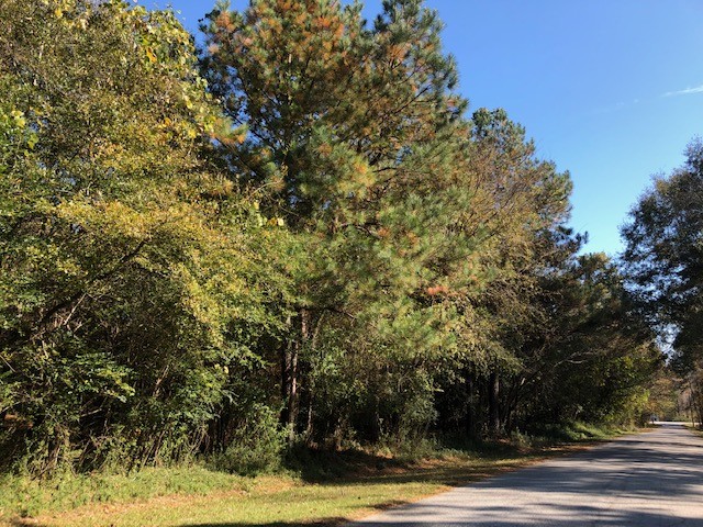1545 Commerce Rd, Athens, GA à vendre - Autre – Image 3 sur 6
