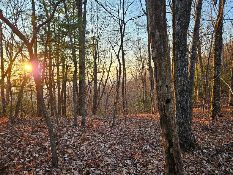 3772 Bear Paw Ridge Rd, Zirconia, NC à vendre - Photo de l’immeuble – Image 2 sur 6