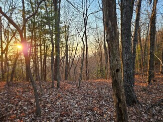 Plus de détails pour 3772 Bear Paw Ridge Rd, Zirconia, NC - Terrain à vendre