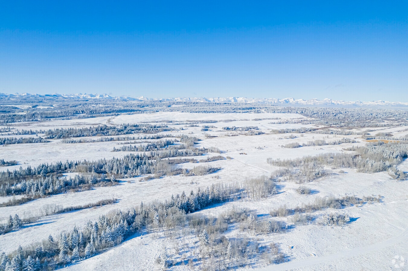 View Photo