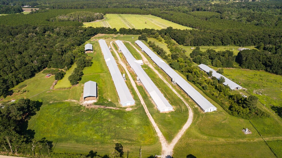 1291 Myron Hart Rd, Coolidge, GA à vendre - Photo de l’immeuble – Image 2 sur 57