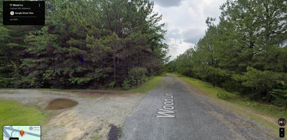 179 Wood Ln, Carbon Hill, AL à vendre - Aérien – Image 2 sur 3