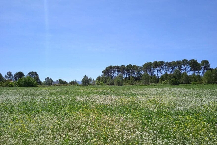Terrain dans Agullent, Valencia à vendre - Plan de site – Image 2 sur 7