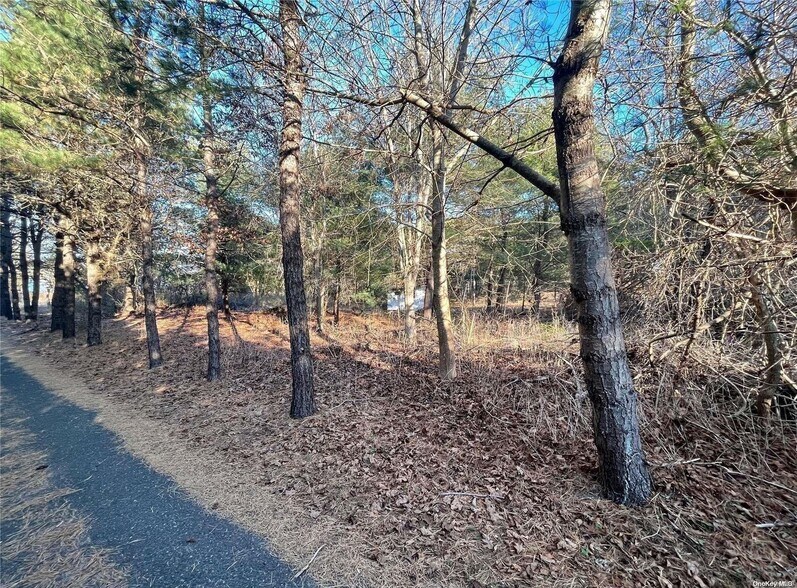 1818 County Road 39, Southampton, NY à vendre - Photo de l’immeuble – Image 2 sur 3