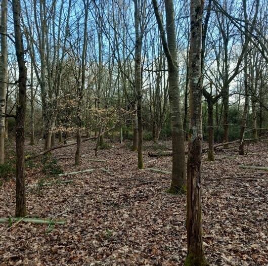 B2128, Rudgwick à vendre - Autre – Image 2 sur 5