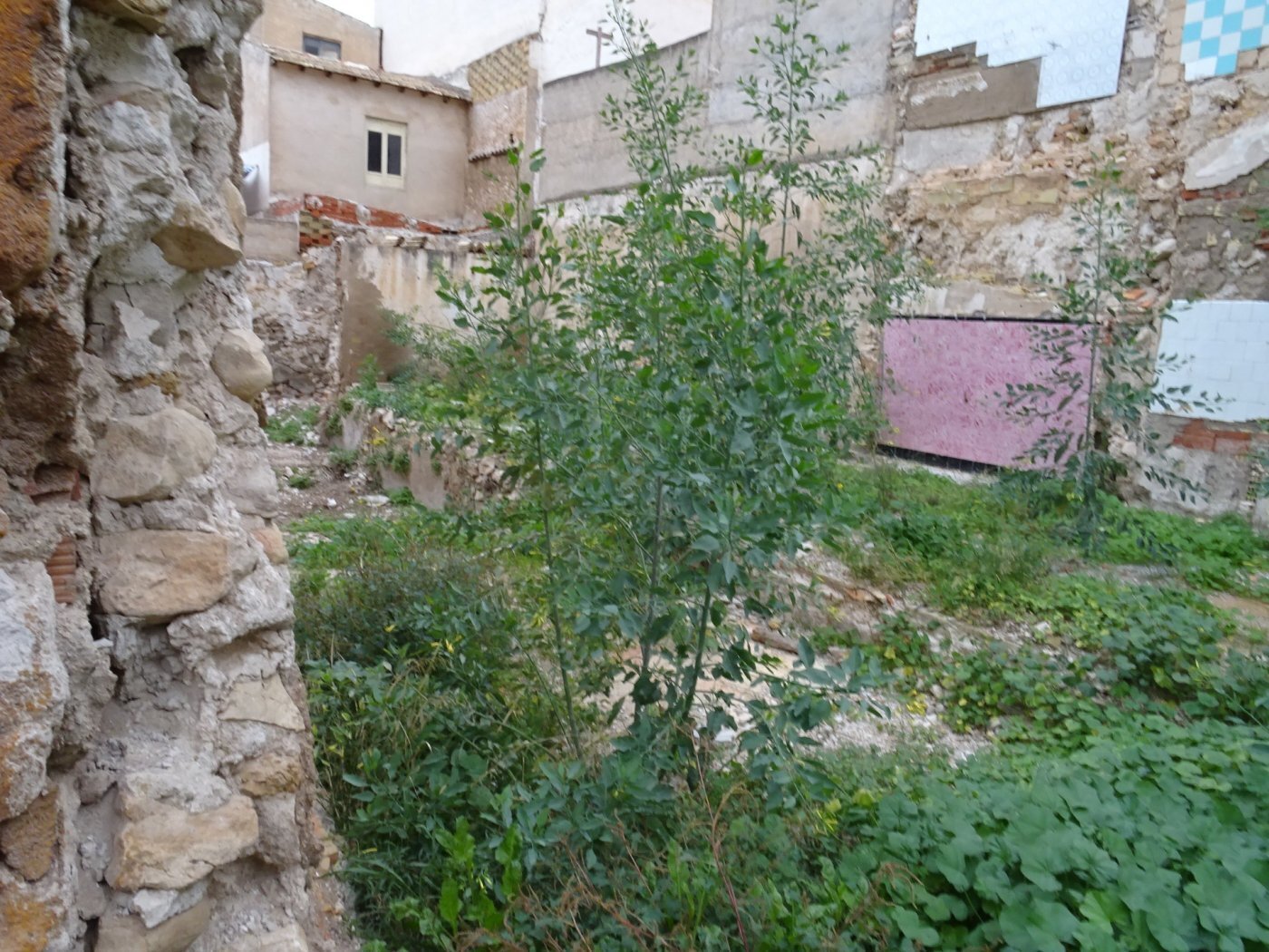 Terrain dans Aspe, Alicante à vendre Photo principale– Image 1 sur 5