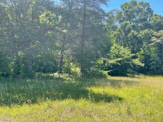 Plus de détails pour 1306 White St, Lexington, NC - Terrain à vendre
