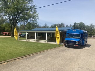 Plus de détails pour 9117 S M 37, Baldwin, MI - Spécialisé à vendre