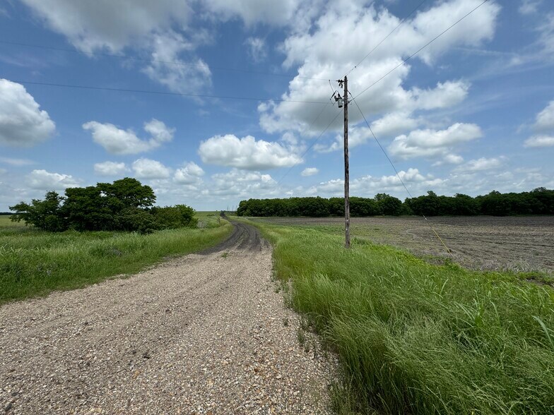 9024 FM 64, Pecan Gap, TX à vendre - Autre – Image 2 sur 20