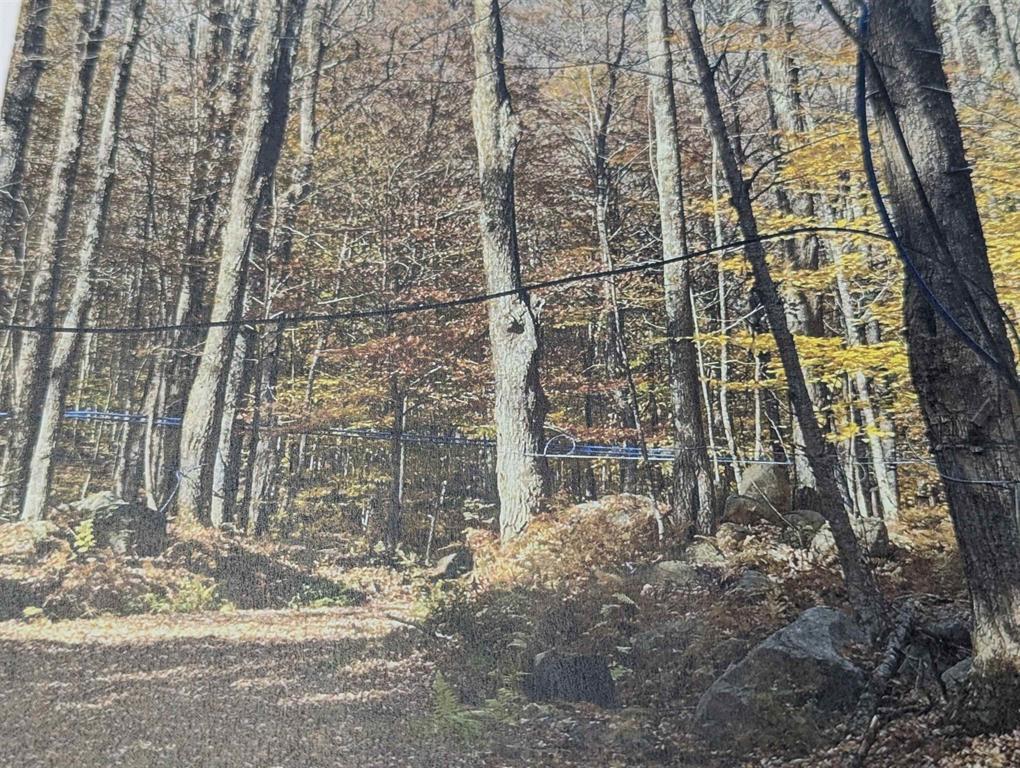 1928 VT-131, Springfield, VT à vendre Photo principale– Image 1 sur 13