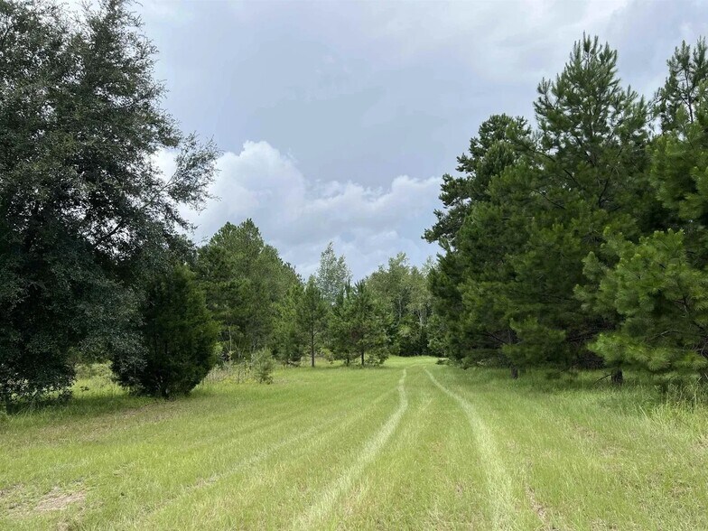 325 SW Durham Way, Greenville, FL à vendre - Photo de l’immeuble – Image 3 sur 19