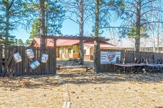 Plus de détails pour 118 N Pagosa Blvd, Pagosa Springs, CO - Local commercial à vendre