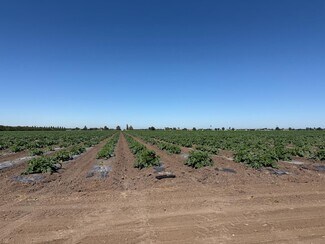 Plus de détails pour 2110 Drais Rd, Stockton, CA - Terrain à vendre