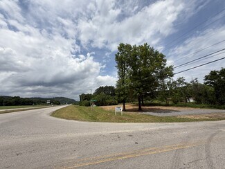 Plus de détails pour Hwy 431 Guntersville, Guntersville, AL - Terrain à vendre