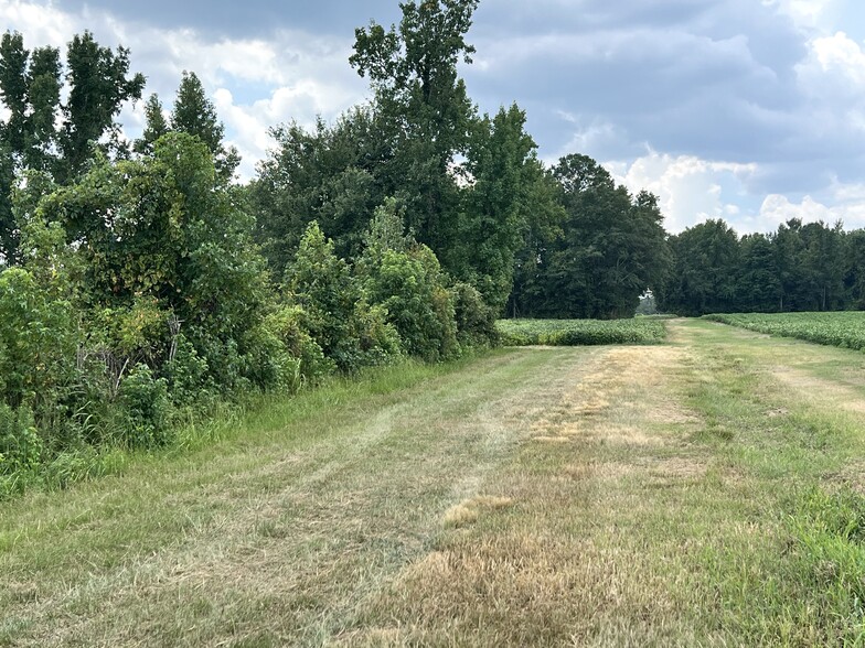 5995 Gas Plant Ln, Grifton, NC à vendre - Photo principale – Image 2 sur 15
