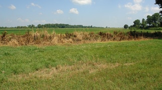 Plus de détails pour 8985 U.S. 51 Hwy, Millington, TN 38053, Millington, TN - Terrain à vendre