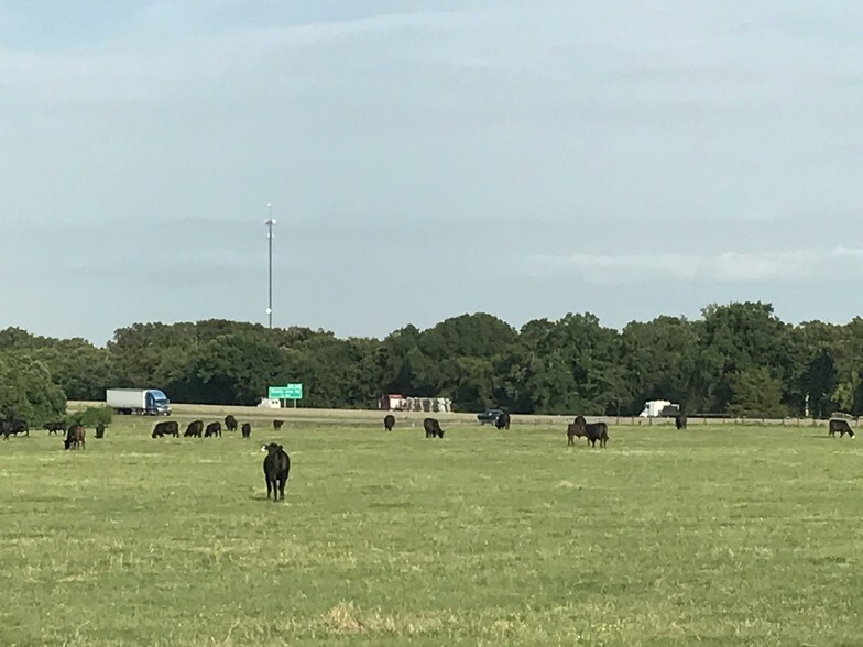 13673 Interstate Highway 30 E, Saltillo, TX à vendre - Autre – Image 2 sur 9