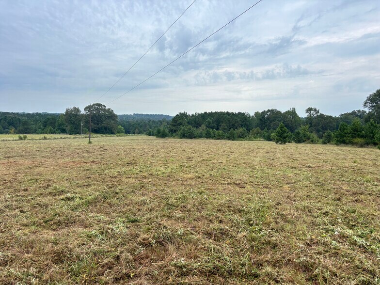 TBD 12.9 CR 1243, Linden, TX à vendre - Photo de l’immeuble – Image 3 sur 3