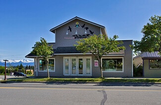 Plus de détails pour 475 E Pioneer Ave, Homer, AK - Local d’activités à vendre
