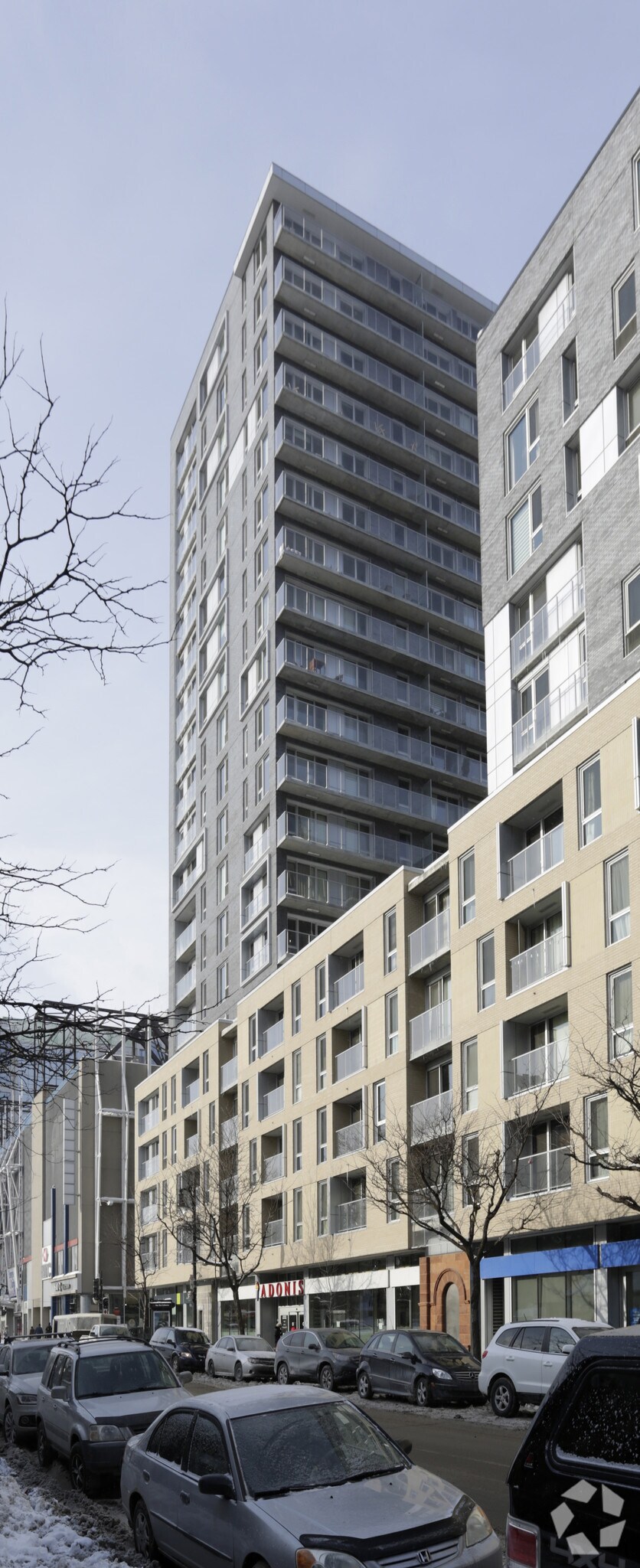 2173 Rue Sainte-Catherine O, Montréal, QC à vendre Photo principale– Image 1 sur 9