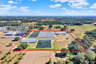 Plus de détails pour Lake Avalon Area, Winter Garden, FL - Local commercial à vendre